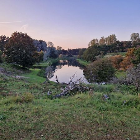 Duin-Vliet Bed & Breakfast Bentveld Dış mekan fotoğraf