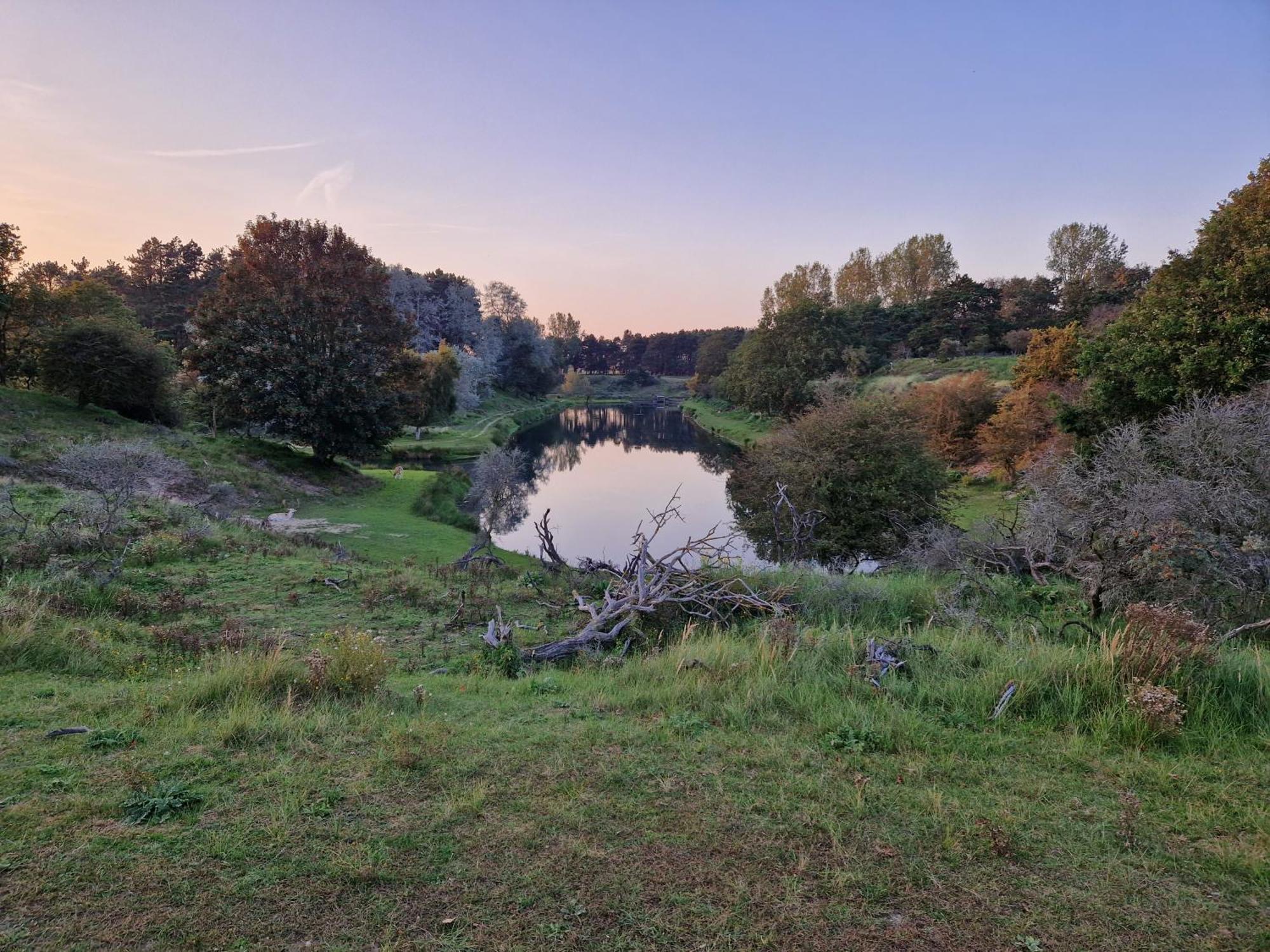 Duin-Vliet Bed & Breakfast Bentveld Dış mekan fotoğraf